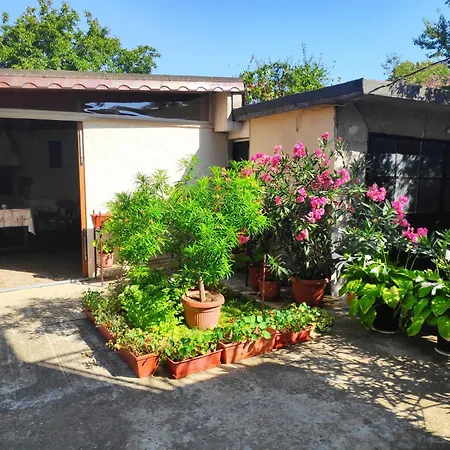 ゲストハウス Zhelevа