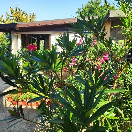 ゲストハウス Zhelevа チェルノモレツ