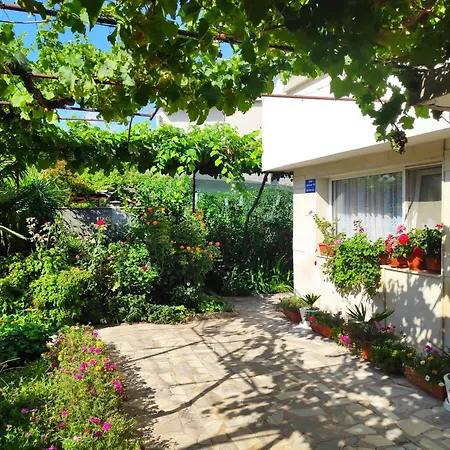 Zhelevа ゲストハウス 3*